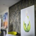 Framframe Wall